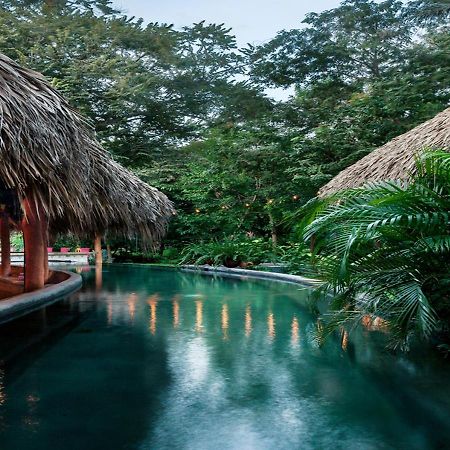 The Space Jungle Oasis San Juan del Sur Ngoại thất bức ảnh